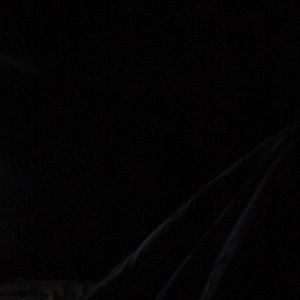 Meet your Posher, Eddie